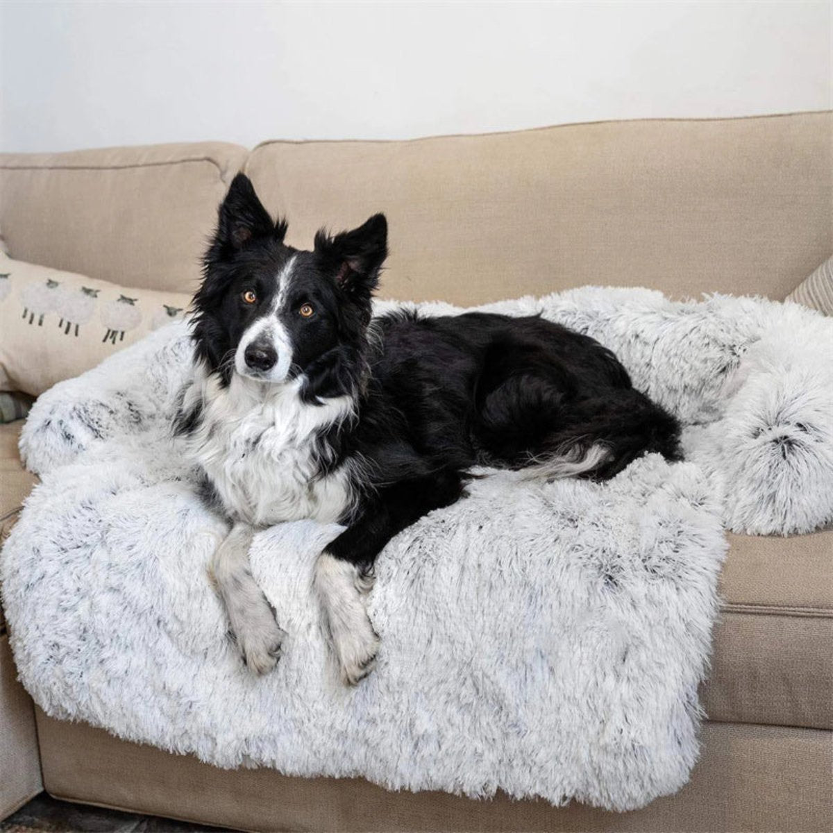 Pawfect Rest | Body Support Dog Bed For Maximum Comfort